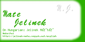 mate jelinek business card